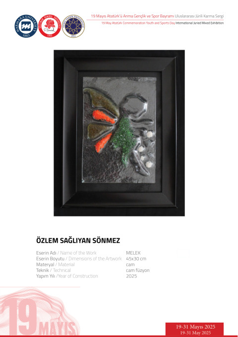 ÖZLEM SAĞLIYAN SÖNMEZ